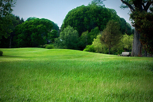 Dorchester Golf and Country Club | Dorchester Ontario