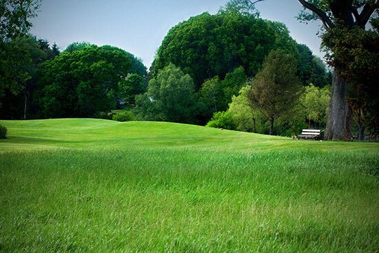 Dorchester Golf and Country Club | Fanshawe Golf School - Fanshawe Golf School